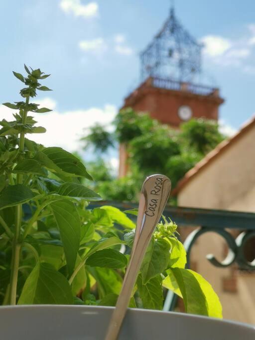 Вилла Casa Rosa, Un Petit Cocon Catalan Ortaffa Экстерьер фото